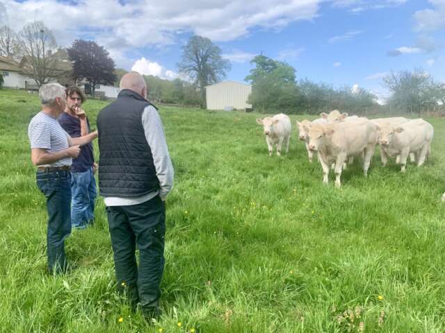 Quartier Rouge - Au loup ! Chronique d'un retour