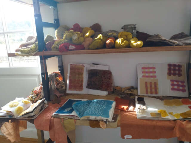 Quartier Rouge - EXPOSITION LABORATOIRES D’ARTS TEXTILES ET ADVENTICES - Échantillons de teintures répertoriés suivant différentes techniques 